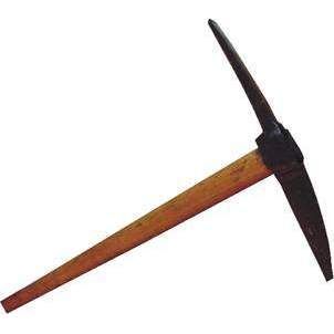 Кірка гострокінцева